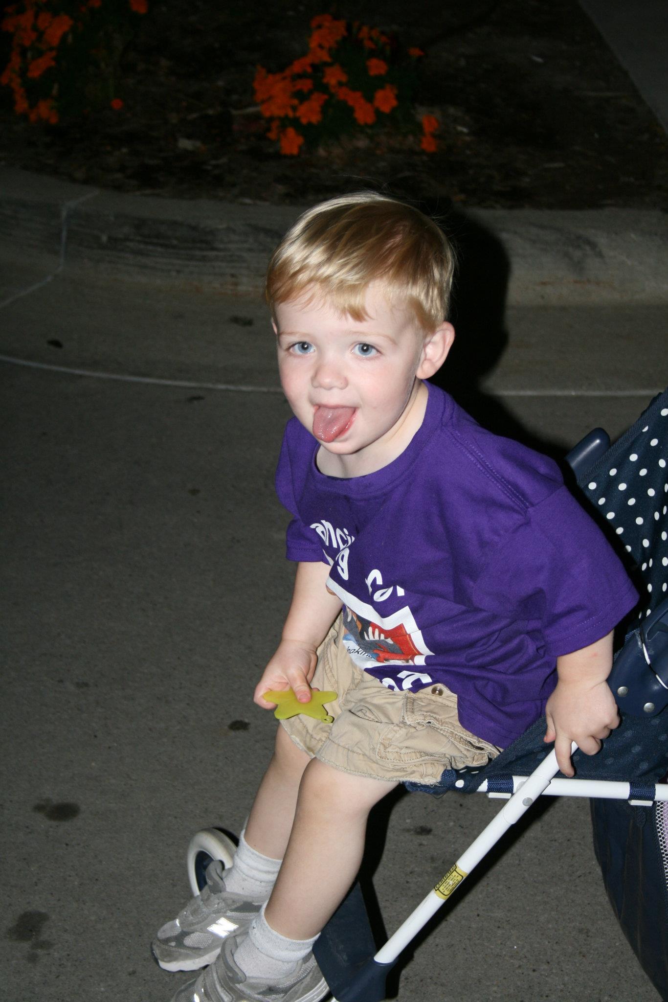2011 Light the Night Walk
