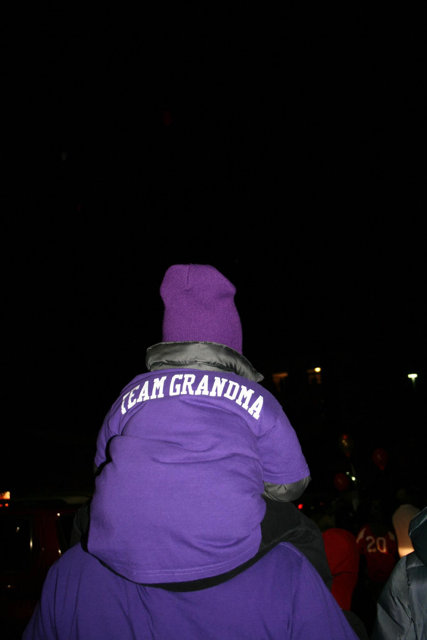 2012 Light the Night Walk