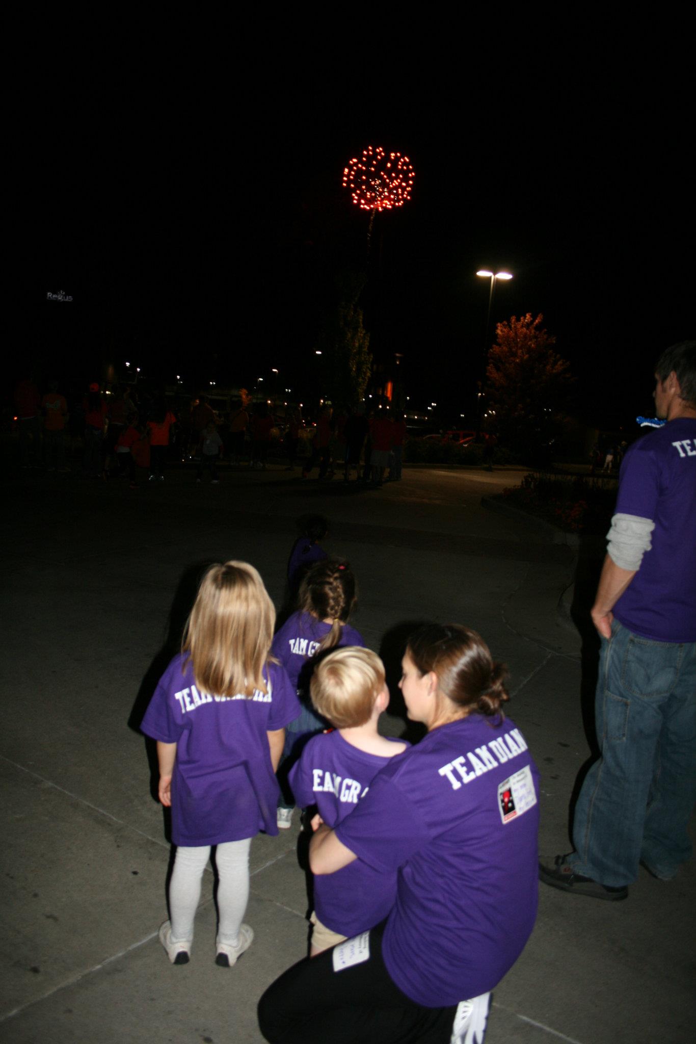2011 Light the Night Walk