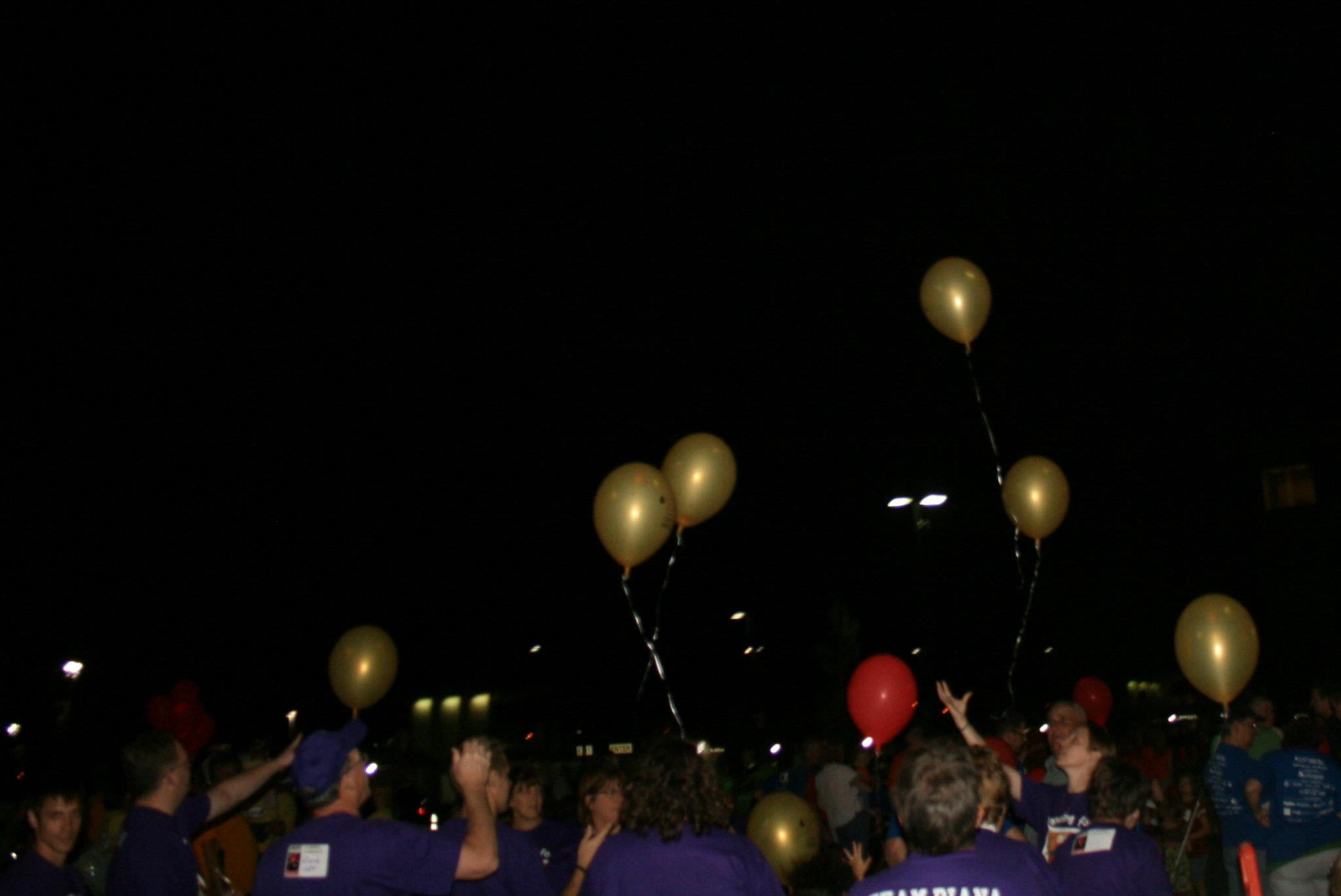 2011 Light the Night Walk