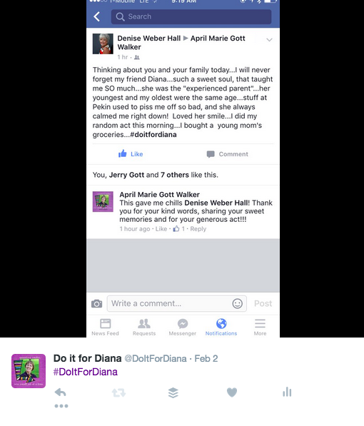 DoItForDiana story